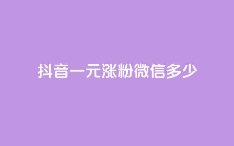 抖音一元涨粉1000微信多少 - 抖音一元涨粉1000,微信粉丝量将增加多少?! 第1张 抖音一元涨粉1000微信多少 - 抖音一元涨粉1000,微信粉丝量将增加多少?! 第1张