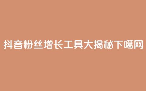 抖音粉丝增长工具大揭秘 第1张 抖音粉丝增长工具大揭秘 第1张