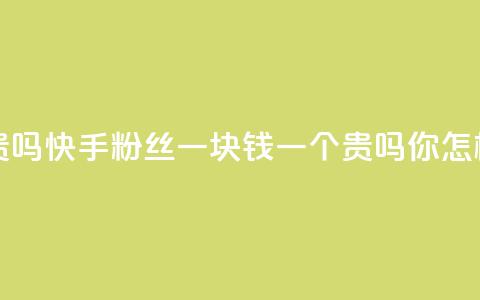 快手粉丝一块钱一个贵吗 - 快手粉丝一块钱一个贵吗你怎样看待这个价格?! 第1张 快手粉丝一块钱一个贵吗 - 快手粉丝一块钱一个贵吗你怎样看待这个价格?! 第1张