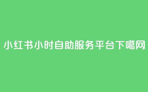 小红书24小时自助服务平台 第1张 小红书24小时自助服务平台 第1张