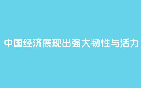 “中国经济展现出强大韧性与活力”  第1张