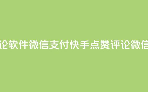 快手点赞评论软件微信支付(快手点赞评论微信支付) 第1张 快手点赞评论软件微信支付(快手点赞评论微信支付) 第1张