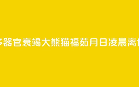 多器官衰竭 大熊猫“福茹”8月16日凌晨离世 第1张 多器官衰竭 大熊猫“福茹”8月16日凌晨离世 第1张