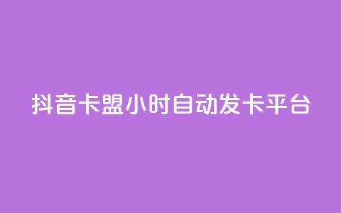 抖音卡盟24小时自动发卡平台,低价卡密货源 - 抖音充值24小时免费下单平台 熊猫业务下单平台 第1张