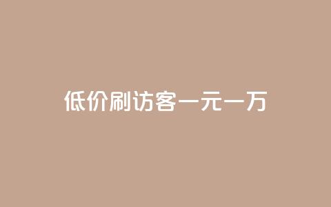 低价刷访客一元一万 - 高效提升网站流量的低价方式	，每万访客仅需一元~  第1张