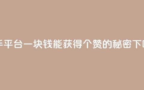 快手平台一块钱能获得100个赞的秘密 第1张 快手平台一块钱能获得100个赞的秘密 第1张