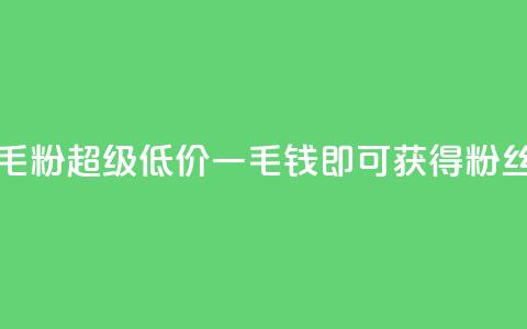 低价Ks一毛1000粉(超级低价，一毛钱即可获得1000粉丝) 第1张