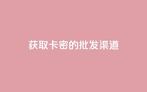 获取卡密的批发渠道 第1张 获取卡密的批发渠道 第1张