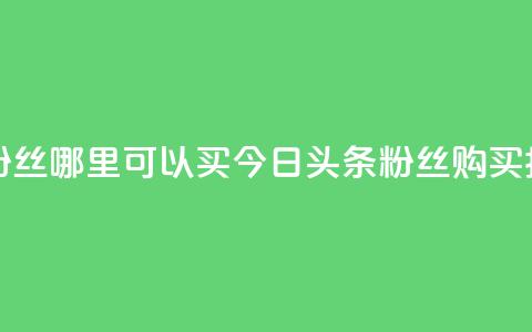 今日头条粉丝哪里可以买 - 今日头条粉丝购买指南! 第1张 今日头条粉丝哪里可以买 - 今日头条粉丝购买指南! 第1张