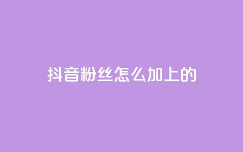 抖音粉丝怎么加上的 - 如何提升抖音粉丝量~ 第1张 抖音粉丝怎么加上的 - 如何提升抖音粉丝量~ 第1张