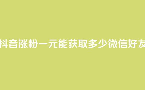 抖音涨粉一元能获取多少微信好友 第1张 抖音涨粉一元能获取多少微信好友 第1张