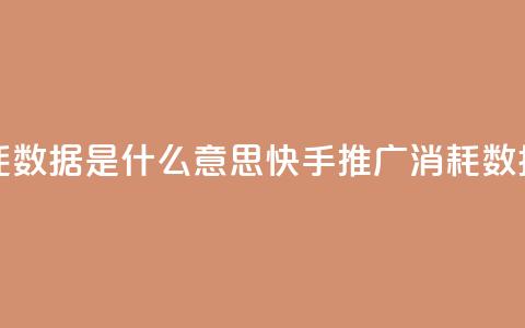 快手推广消耗数据是什么意思 - 快手推广消耗数据解析! 第1张 快手推广消耗数据是什么意思 - 快手推广消耗数据解析! 第1张