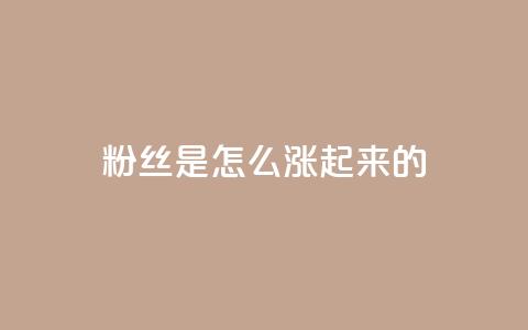 粉丝是怎么涨起来的,ks免费业务平台便宜 - 王者主页秒赞网 快手流量推广网站 第1张 粉丝是怎么涨起来的,ks免费业务平台便宜 - 王者主页秒赞网 快手流量推广网站 第1张