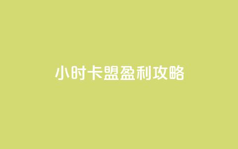 24小时卡盟盈利攻略 第1张 24小时卡盟盈利攻略 第1张