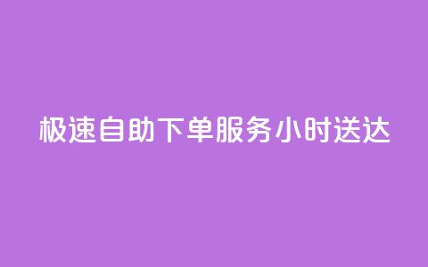 极速自助下单服务24小时送达  第1张