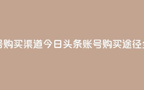 今日头条账号购买渠道 - 今日头条账号购买途径全解析! 第1张 今日头条账号购买渠道 - 今日头条账号购买途径全解析! 第1张