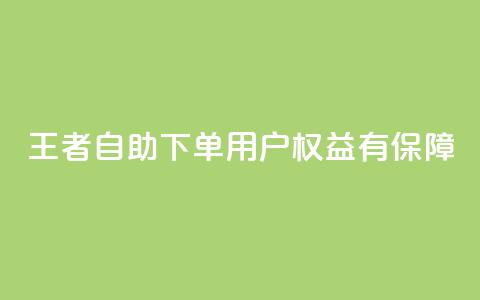 王者自助下单,用户权益有保障 第1张 王者自助下单,用户权益有保障 第1张