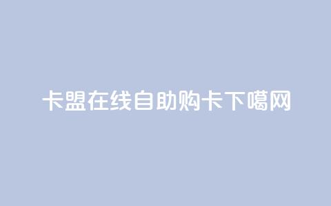 91卡盟:在线自助购卡 第1张 91卡盟:在线自助购卡 第1张