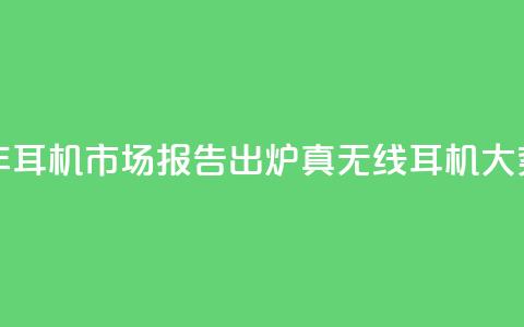 2024上半年耳机市场报告出炉:真无线耳机大势已去 第1张 2024上半年耳机市场报告出炉:真无线耳机大势已去 第1张