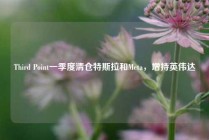 Third Point一季度清仓特斯拉和Meta，增持英伟达