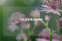 小红书免费点赞网站