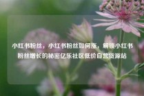 小红书粉丝，小红书粉丝如何涨，解锁小红书粉丝增长的秘密亿乐社区低价自营货源站