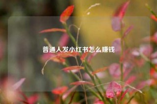 普通人发小红书怎么赚钱