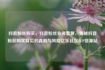 抖音粉丝购买，抖音粉丝业务套餐，揭秘抖音粉丝购买背后的真相与风险亿乐社区SUP货源站