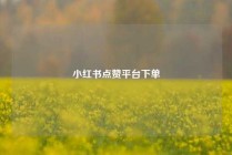 小红书点赞平台下单