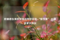 欧盟愿在美欧贸易谈判中采取 “慢节奏” 以谋求更大协议