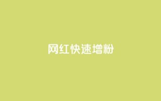 网红快速增粉