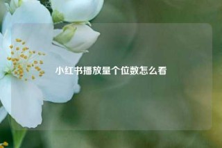小红书播放量个位数怎么看