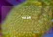 抖音涨粉