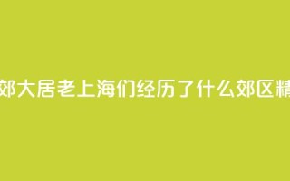 生活在市郊大居，“老上海”们经历了什么？_郊区精细化治理③