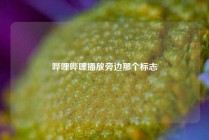 哔哩哔哩播放旁边那个标志
