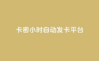 卡密24小时自动发卡平台 - 24小时卡密自动发卡平台 完美解决您的发卡需求!