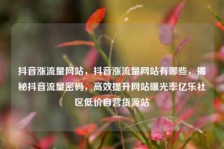 抖音涨流量网站，抖音涨流量网站有哪些，揭秘抖音流量密码，高效提升网站曝光率亿乐社区低价自营货源站