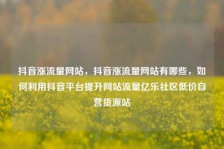 抖音涨流量网站，抖音涨流量网站有哪些，如何利用抖音平台提升网站流量亿乐社区低价自营货源站