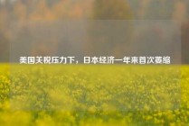 美国关税压力下，日本经济一年来首次萎缩