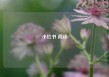 小红书 阅读