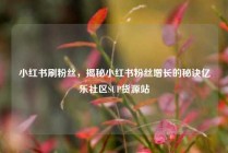 小红书刷粉丝，揭秘小红书粉丝增长的秘诀亿乐社区SUP货源站