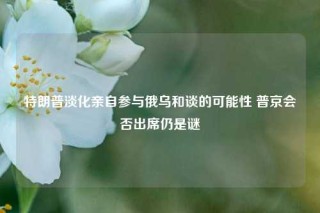 特朗普淡化亲自参与俄乌和谈的可能性 普京会否出席仍是谜