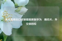 美方滥用出口管制措施限制华为昇腾芯片，外交部回应