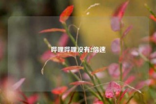 哔哩哔哩没有2倍速