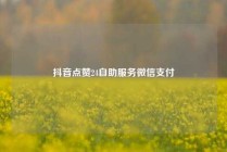抖音点赞24自助服务微信支付