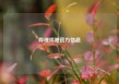 哔哩哔哩官方信息