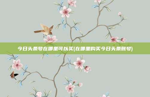 今日头条号在哪里可以买(在哪里购买今日头条账号)  第1张