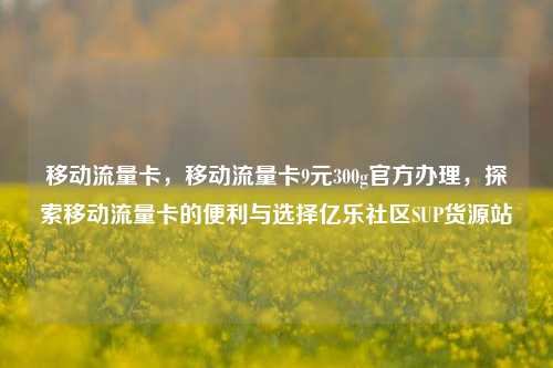 移动流量卡	，移动流量卡9元300g官方办理，探索移动流量卡的便利与选择亿乐社区SUP货源站  第1张