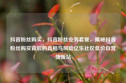 抖音粉丝购买，抖音粉丝业务套餐，揭秘抖音粉丝购买背后的真相与风险亿乐社区低价自营货源站  第1张