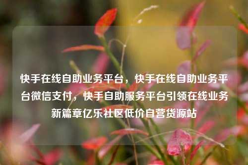 快手在线自助业务平台，快手在线自助业务平台微信支付	，快手自助服务平台引领在线业务新篇章亿乐社区低价自营货源站  第1张